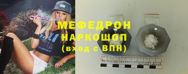 мдпв Бородино