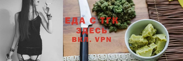 мдпв Бородино
