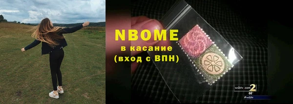 мдпв Бородино