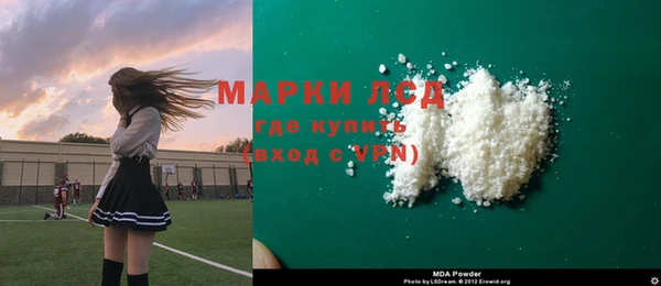мдпв Бородино