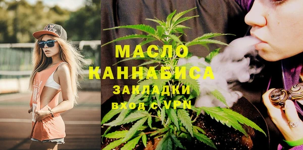 мдпв Бородино