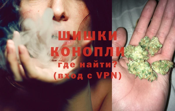 мдпв Бородино