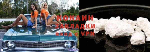 мдпв Бородино