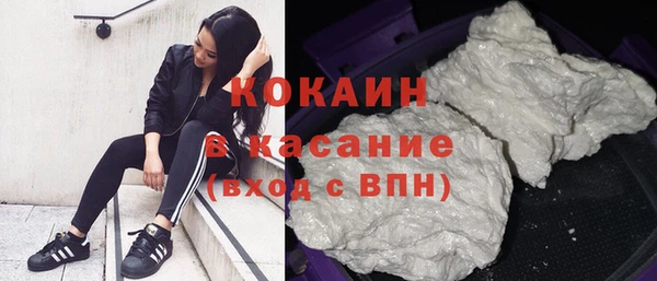 мдпв Бородино