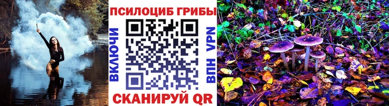 закладки  Семёнов  Галлюциногенные грибы Cubensis 