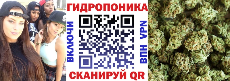 Канабис VHQ закладка Семёнов